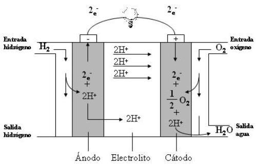 img 39627 apa 272245 600 | Frotas Turbo